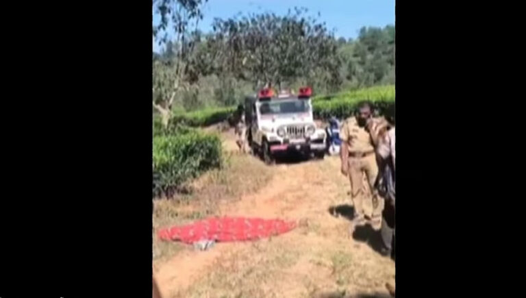 വയനാട്ടിൽ കാട്ടാന ആക്രമണത്തിൽ യുവാവ് മരിച്ചു