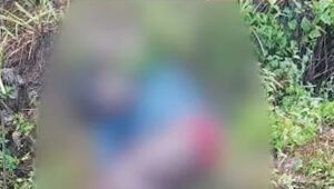 വീണ്ടും ജീവനെടുത്ത് കാട്ടാന; വയനാട്ടില്‍ യുവാവ് കാട്ടാന ആക്രമണത്തില്‍ മരിച്ചു