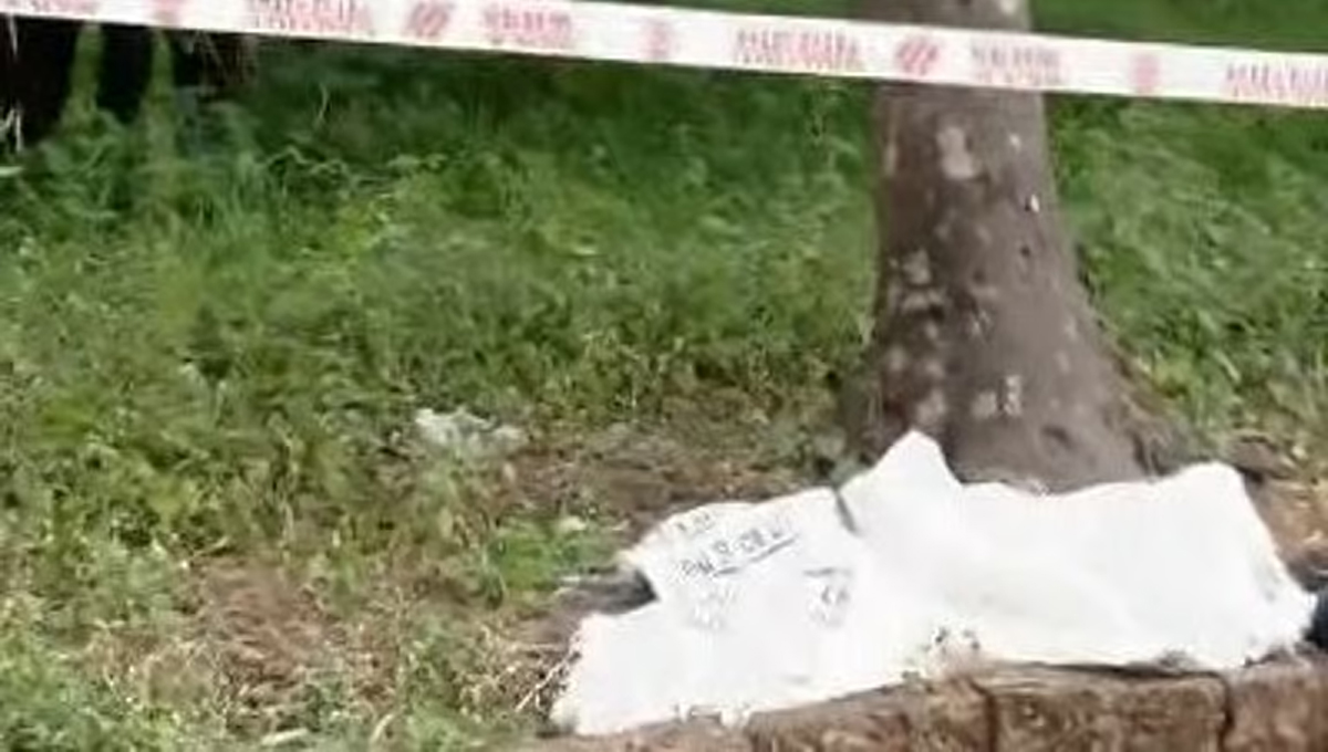 കോഴിക്കോട്ട് യുവാവിനെ കല്ല് കൊണ്ട് തലയ്ക്കടിച്ച് കൊലപ്പെടുത്തി