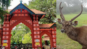 തിരുവനന്തപുരം മൃ​ഗശാലയിൽ ചത്ത മ്ലാവിന് പേവിഷബാധ; ജീവനക്കാർക്ക് വാക്സിൻ നൽകും