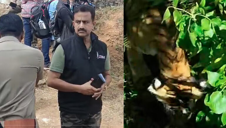 ഗ്രാമ്പിയിൽ ദൗത്യം അനിശ്ചിതാവസ്ഥയിൽ; കടുവയെ ഇതുവരെ കണ്ടെത്തിയില്ല
