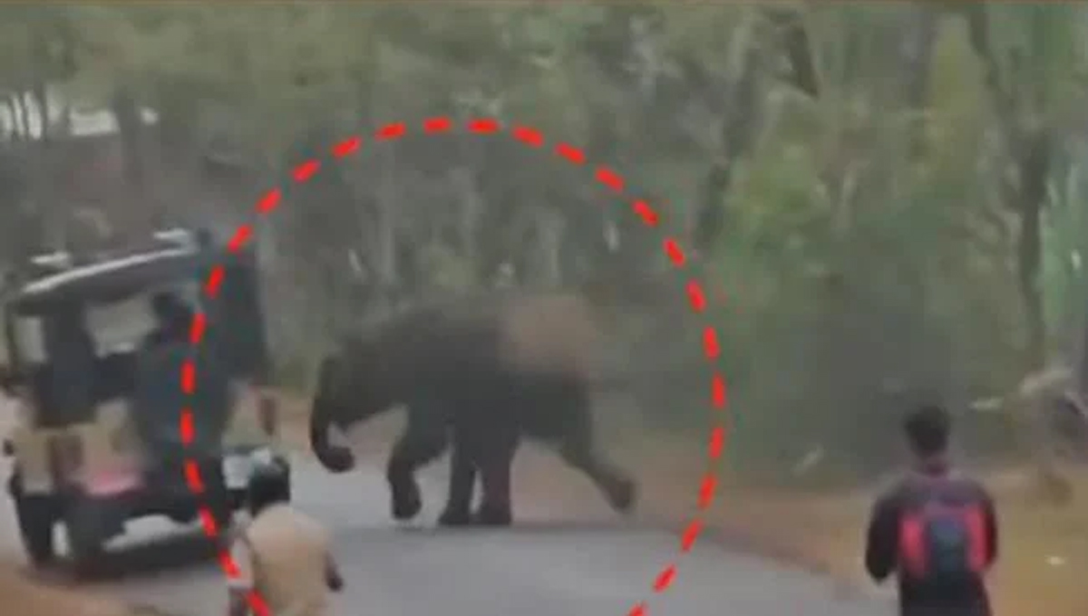 ഇ​രി​ട്ടി​യി​ല്‍ കാ​ട്ടാ​ന​യി​റ​ങ്ങി; പ്ര​ദേ​ശ​വാ​സി​ക​ള്‍​ക്ക് ജാ​ഗ്ര​താ നി​ര്‍​ദേ​ശം