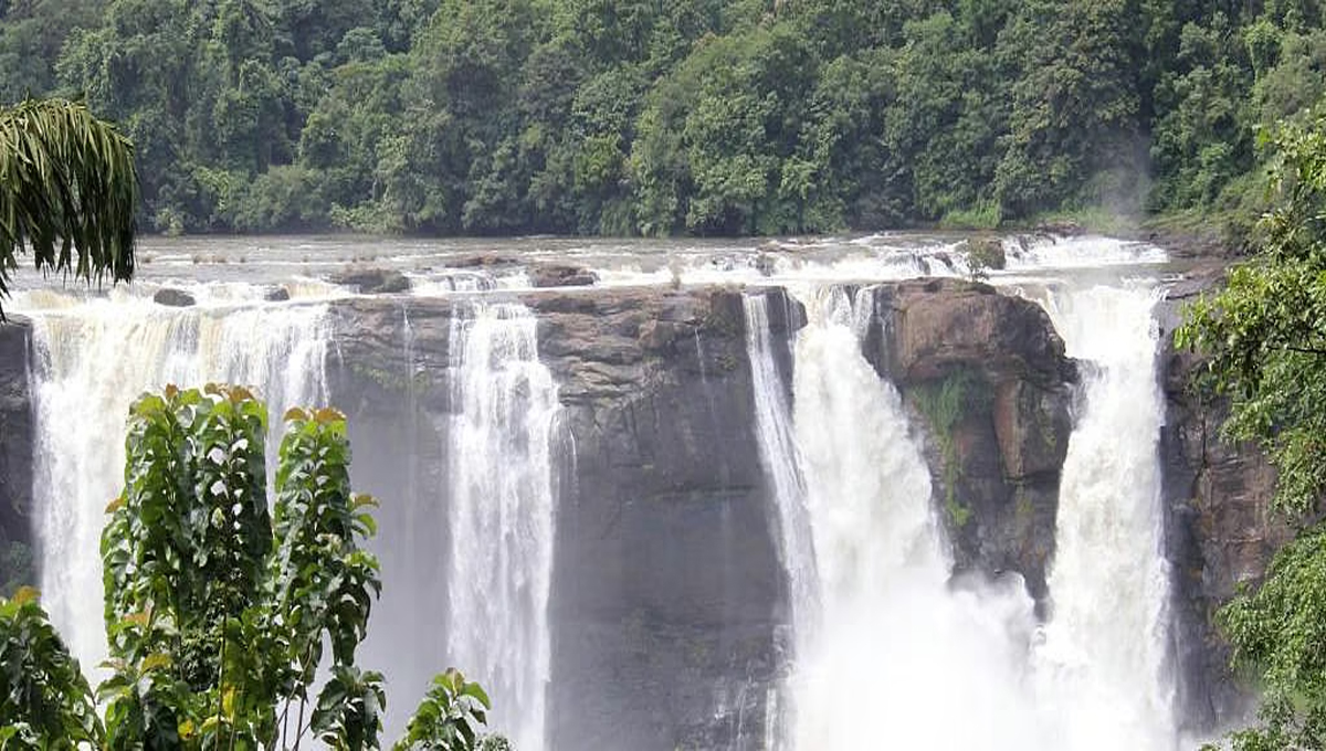 അതിരപ്പിള്ളി ജലവൈദ്യുത പദ്ധതി : വീണ്ടും അണിയറപ്രവര്‍ത്തനം തുടങ്ങി കെഎസ്ഇബി