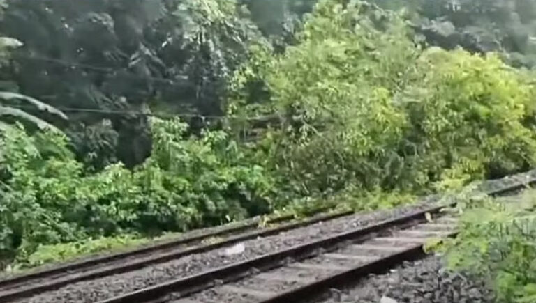 കോഴിക്കോട് റെയില്‍വേ ട്രാക്കില്‍ വീണ്ടും മരം വീണു; ഇന്നും ട്രെയിന്‍ ഗതാഗതം തടസ്സപ്പെടും