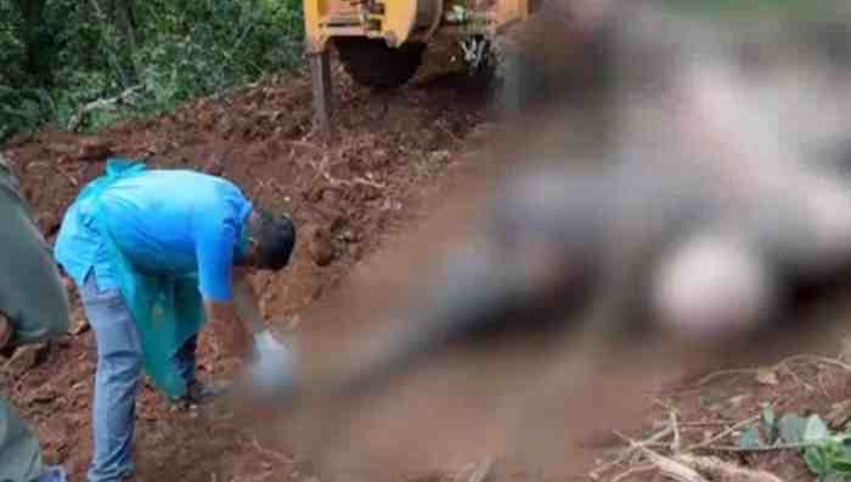 കോന്നിയിൽ കാട്ടാന ഷോക്കേറ്റ് മരിച്ച സംഭവം; പ്രതികൾക്ക് മുൻ‌കൂർ ജാമ്യം
