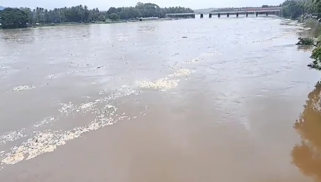 കനത്ത മഴയിൽ ഇരുകരകളും കവിഞ്ഞ് ഭാരതപ്പുഴ; തീരത്ത് താമസിക്കുന്നവര്‍ക്ക് ജാഗ്രതാനിര്‍ദേശം