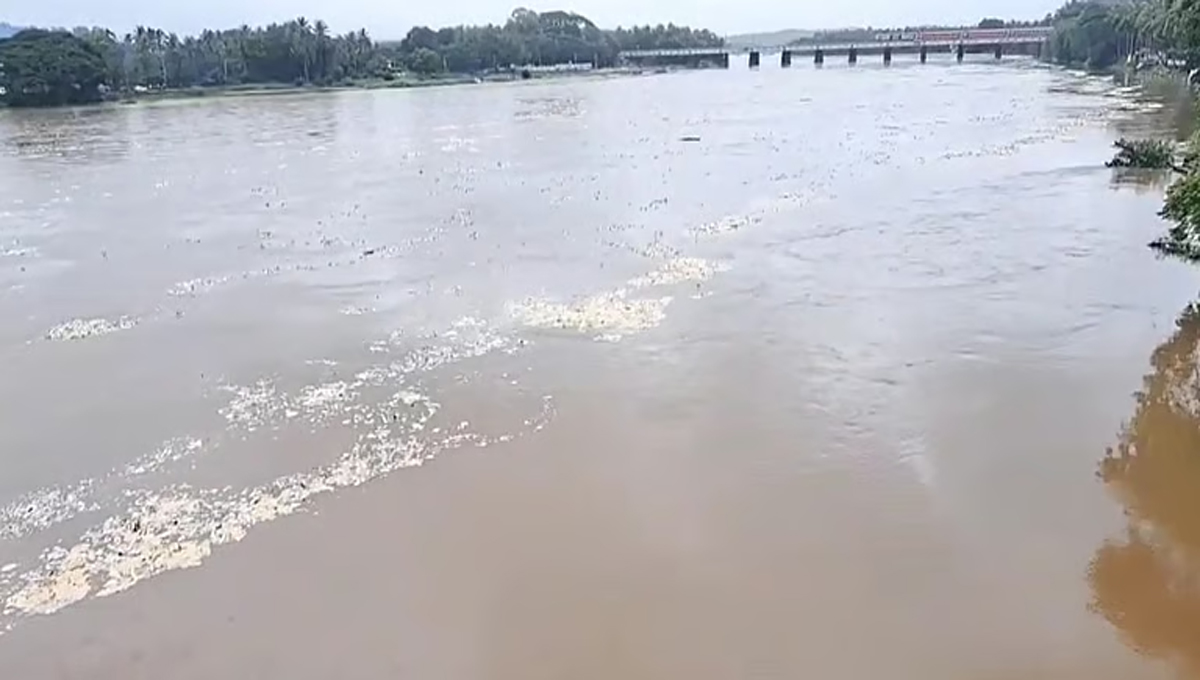 കനത്ത മഴയിൽ ഇരുകരകളും കവിഞ്ഞ് ഭാരതപ്പുഴ; തീരത്ത് താമസിക്കുന്നവര്‍ക്ക് ജാഗ്രതാനിര്‍ദേശം