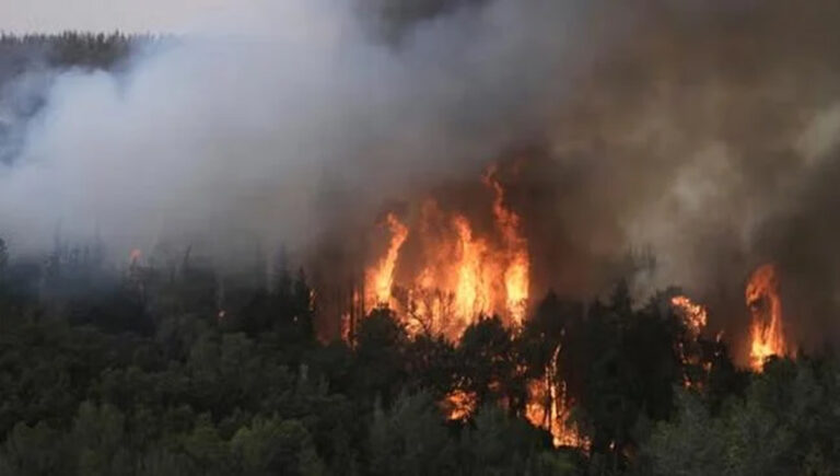 ഇ​സ്ര​യേ​ലി​ൽ കാ​ട്ടു​തീ പ​ട​രു​ന്നു; ആ​യി​ര​ക്ക​ണ​ക്കി​ന് ആ​ളു​ക​ളെ ഒ​ഴി​പ്പി​ച്ചു