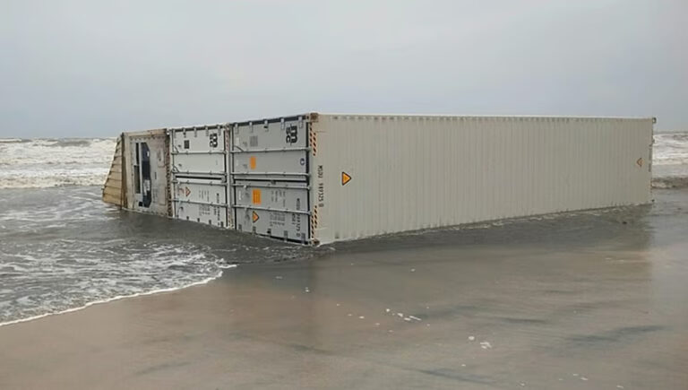 എം.എസ്.സി എല്‍സ 3 അപകടം : എട്ട് കണ്ടെയ്‌നറുകള്‍ കൊല്ലം തീരമടിഞ്ഞതായി കെ.എസ്.ഡി.എം.എ