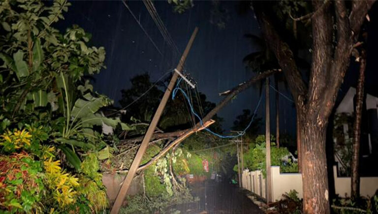 കോ​ഴി​ക്കോട്ട് ചെ​റു​വാ​ടി​യി​ൽ മി​ന്ന​ൽ ചു​ഴ​ലി; മ​ര​ങ്ങ​ൾ ക​ട​പു​ഴ​കി വീ​ണു