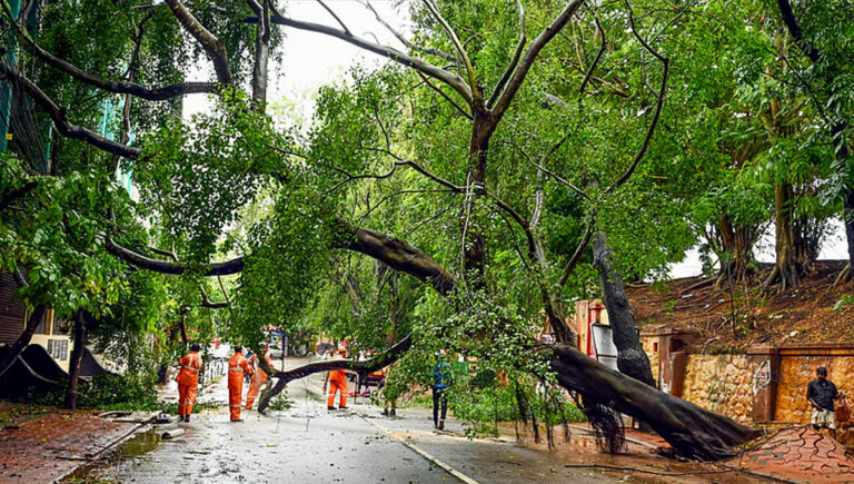 സംസ്ഥാനത്ത് ശക്തമായ കാറ്റിലും മഴയിലും വ്യാപക നാശനഷ്ടം; 3 പേര്‍ മരിച്ചു, ഒരാളെ കാണാതായി