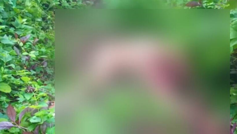 മലപ്പുറത്ത് ടാപ്പിംഗിനിറങ്ങിയ തൊഴിലാളിയുടെ മൃതദേഹം കണ്ടെത്തി; വന്യജീവിയുടെ ആക്രമണമെന്ന് സംശയം