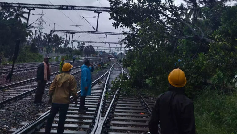 തിരുവനന്തപുരത്തും ആലപ്പുഴയിലും റെയിൽവേ ട്രാക്കിൽ മരം വീണു; ട്രെയിനുകൾ വൈകി ഓടുന്നു