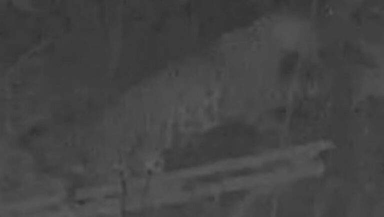 സുല്‍ത്താന്‍ ബത്തേരിയില്‍ പുലിയിറങ്ങി; കോഴികളെ പിടികൂടുന്നതിന്റെ ദൃശ്യങ്ങള്‍ പുറത്ത്