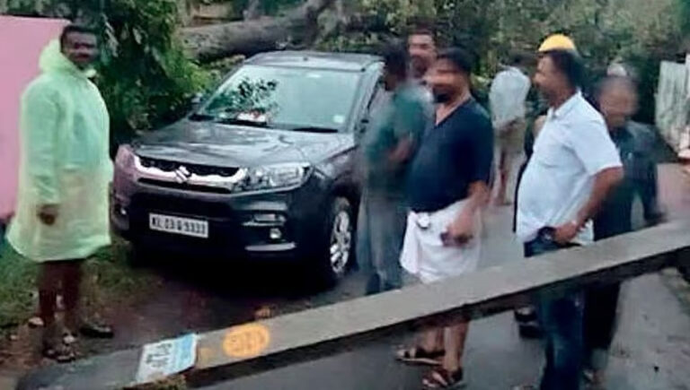 കൊല്ലത്ത് മരവും വൈദ്യുതി പോസ്റ്റും റോഡിലേക്ക് വീണു; സിആര്‍ മഹേഷ് എംഎല്‍എ രക്ഷപ്പെട്ടത് തലനാരിഴയ്ക്ക്