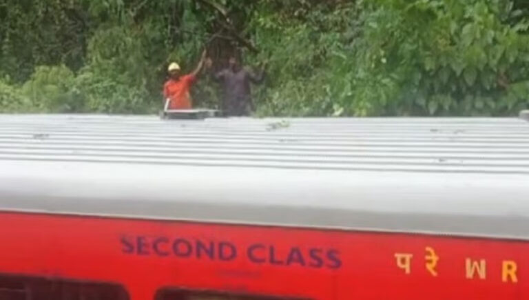 ചെറുതുരുത്തിയില്‍ ട്രെയിനിന് മുകളില്‍ മരക്കൊമ്പ് ഒടിഞ്ഞുവീണു