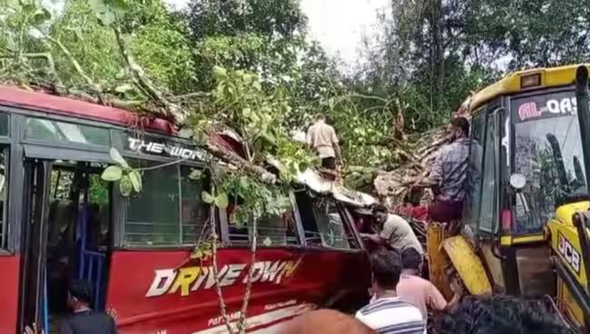 മ​ല​പ്പു​റത്ത് ഓ​ടി​ക്കൊ​ണ്ടി​രു​ന്ന ബ​സി​ന് മു​ക​ളി​ൽ മ​രം വീ​ണു; നി​ര​വ​ധി​പേ​ർ​ക്ക് പ​രി​ക്ക്