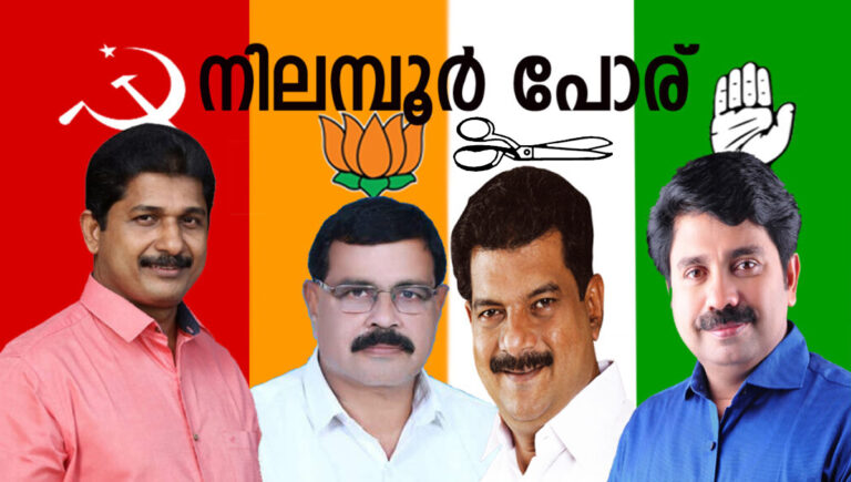 നിലമ്പൂരിലെ ഉപതിരഞ്ഞെടുപ്പ് : മത്സരരംഗത്ത് അന്‍വര്‍ ഉള്‍പ്പടെ പത്ത് സ്ഥാനാര്‍ഥികൾ; അന്‍വറിന്റെ ചിഹ്നം കത്രിക