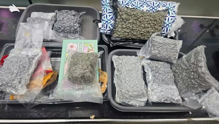 തിരുവനന്തപുരം വിമാനത്താവളത്തില്‍ 10 കോടി രൂപയുടെ ഹൈബ്രിഡ് കഞ്ചാവുമായി യുവതിയും യുവാവും പിടിയില്‍