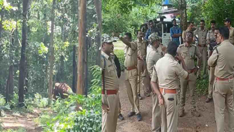 കോന്നി കുമരംപേരൂരിലെ കാട്ടാന ആക്രമണം; 8 വനം വകുപ്പ് ജീവനക്കാർക്ക് പരുക്ക്