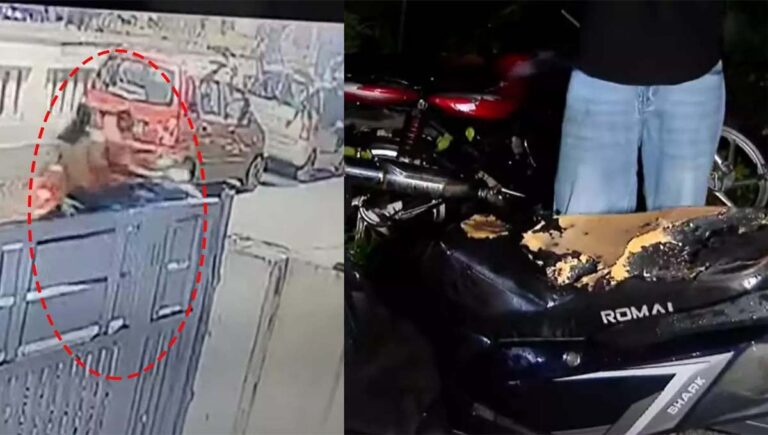 എറണാകുളം വടുതലയിൽ ദമ്പതികളെ പെട്രോൾ ഒഴിച്ച് തീ കൊളുത്തി പ്രതി ആത്മഹത്യ ചെയ്തു