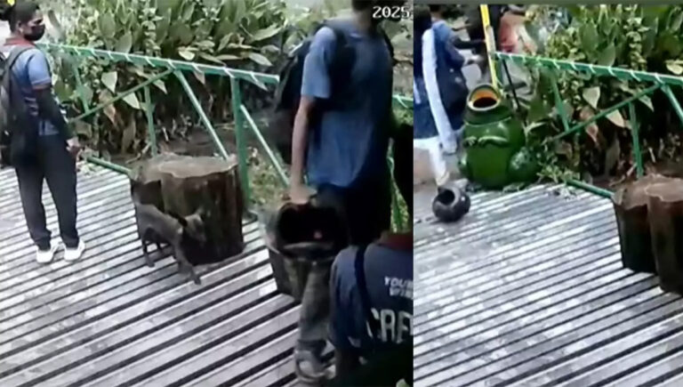 പോത്തുണ്ടി ഡാം ഉദ്യാനത്തില്‍ വനിതാ ജീവനക്കാര്‍ ഉള്‍പ്പെടെയുള്ളവരെ സാമൂഹ്യ വിരുദ്ധർ മര്‍ദിച്ചതായി പരാതി