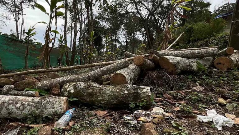 ഇടുക്കി ശാന്തന്‍പാറ മേഖലയില്‍ വന്‍ വനംകൊള്ള