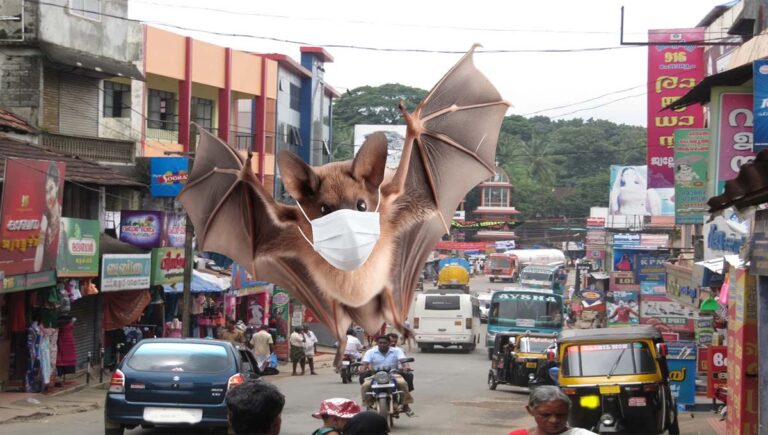 നിപ : മണ്ണാർക്കാട് താലൂക്കിൽ മാസ്ക് നിർബന്ധമാക്കി