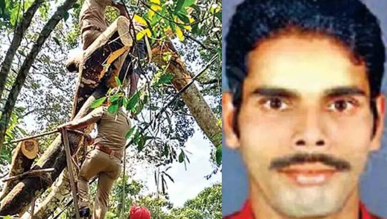 ആലപ്പുഴയിൽ കൊമ്പ് മുറിക്കുന്നതിനിടെ മരത്തടി പിളര്‍ന്ന് കയര്‍ കുരുങ്ങി തൊഴിലാളിക്ക് ദാരുണാന്ത്യം