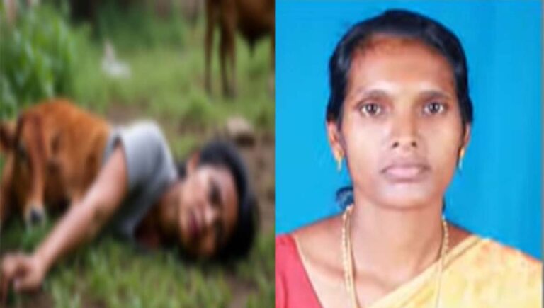 പശുക്കടവിലെ വീട്ടമ്മയുടെ മരണം; വൈദ്യുതക്കെണിയാണ് മരണകാരണം, മനഃപ്പൂര്‍വമല്ലാത്ത നരഹത്യയ്ക്ക് കേസെടുക്കും : പൊലീസ്