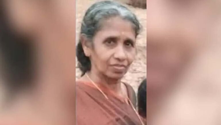 മലപ്പുറത്ത് കാട്ടാന ചവിട്ടേറ്റ് വീട്ടമ്മ മരിച്ചു
