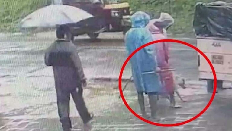 നായകളെ കൂട്ടത്തോടെ കൊന്നൊടുക്കി; മൂന്നാർ ഗ്രാമപഞ്ചായത്തിന്റെ വാഹനം പൊലീസ് കസ്റ്റഡിയിൽ