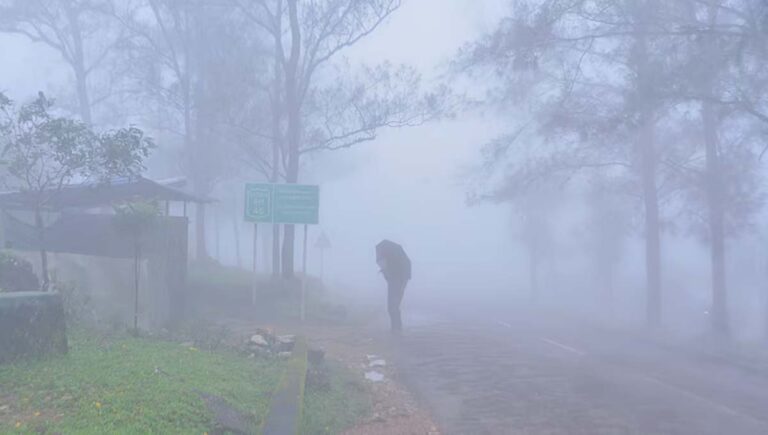 ശക്തമായ മഴയും പ്രതികൂല കാലാവസ്ഥയും; പൊന്‍മുടി സന്ദര്‍ശനം നിരോധിച്ചു