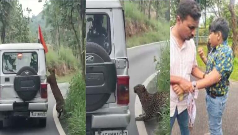 കര്‍ണാടകയിലെ ബന്നാര്‍ഗട്ട വന്യജീവി സങ്കേതം കാണാനെത്തിയ കുട്ടിയെ പുലി ആക്രമിച്ചു