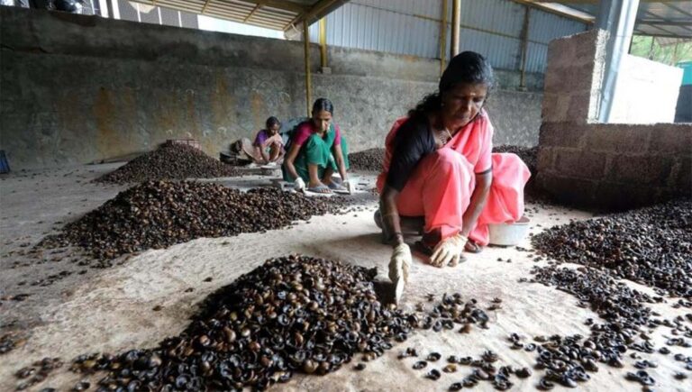 പൂട്ടിക്കിടക്കുന്ന കശുവണ്ടി ഫാക്ടറികളിലെ തൊഴിലാളികള്‍ക്ക് ഓണാശ്വാസമായി 2250 രൂപ വീതം എക്സ്‌ഗ്രേഷ്യേ