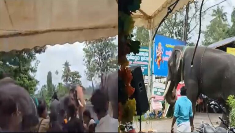 കൂടല്‍മാണിക്യ ക്ഷേത്രത്തില്‍ ആനയൂട്ടിനെത്തിയ ആനയിടഞ്ഞു