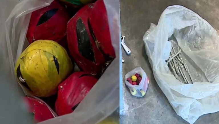 പാലക്കാട് വീട്ടില്‍ സ്‌ഫോടക വസ്തു കണ്ടെത്തിയ സംഭവം; ബിജെപി പ്രവര്‍ത്തകനും കൂട്ടാളികളും കസ്റ്റഡിയിൽ