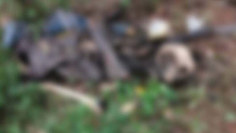 കൊല്ലത്ത് ഒറ്റയ്ക്ക് താമസിച്ചിരുന്നയാളുടെ മൃതദേഹം തെരുവുനായ്ക്കൾ ഭക്ഷിച്ച നിലയിൽ