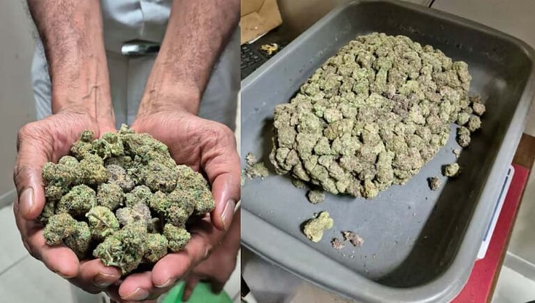 നെടുമ്പാശ്ശേരിയില്‍ വന്‍ കഞ്ചാവ് വേട്ട; ആറു കോടിയുടെ ഹൈബ്രിഡ് കഞ്ചാവുമായി കൊടുങ്ങല്ലൂര്‍ സ്വദേശി അറസ്റ്റില്‍