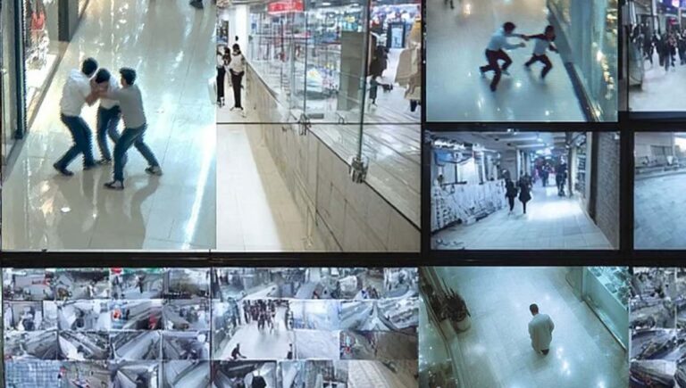 ഷോപ്പിങ് മാളുകളിലെ അക്രമണങ്ങൾ; പ്രവാസികളെയടക്കം 20 പേരെ പിടികൂടി കുവൈത്ത് പൊലീസ്