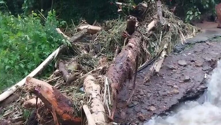 കട്ടപ്പനയില്‍ ഉരുള്‍പൊട്ടല്‍; റോഡുകള്‍ ഒലിച്ചുപോയി