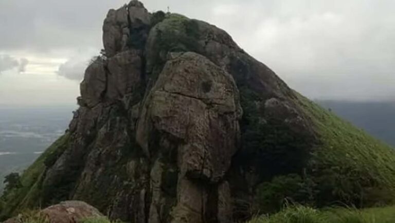 മുന്നറിയിപ്പ് വകവെയ്ക്കാതെ ട്രെക്കിങ്ങ്; യുവാക്കള്‍ കാട്ടിനുള്ളില്‍ കുടുങ്ങി, രക്ഷകരായി വനംവകുപ്പ്, ഇമ്പോസിഷന്‍ ശിക്ഷ