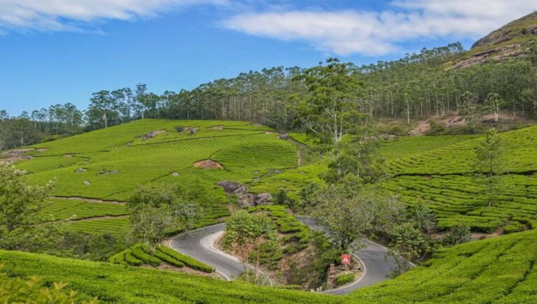 വീണ്ടും മൂന്നാറില്‍ വിനോദസഞ്ചാരിക്ക് നേരെ ആക്രമണം; യുവാവിനെ തട്ടുകടക്കാരന്‍ ചട്ടുകംകൊണ്ട് അടിച്ച് പരിക്കേല്‍പിച്ചു
