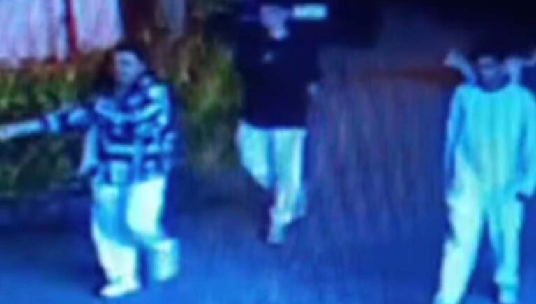 വൈറ്റിലയിലെ ബാറില്‍ മാരകായുധങ്ങളുമായി അക്രമം; യുവതിയടക്കം മൂന്നു പേര്‍ പിടിയില്‍