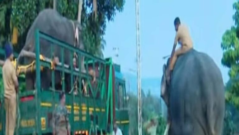 കുതിരാനില്‍ കാട്ടാന ആക്രമണം; തുരത്താന്‍ വനം വകുപ്പ് കുങ്കി ആനകളെ എത്തിച്ചു