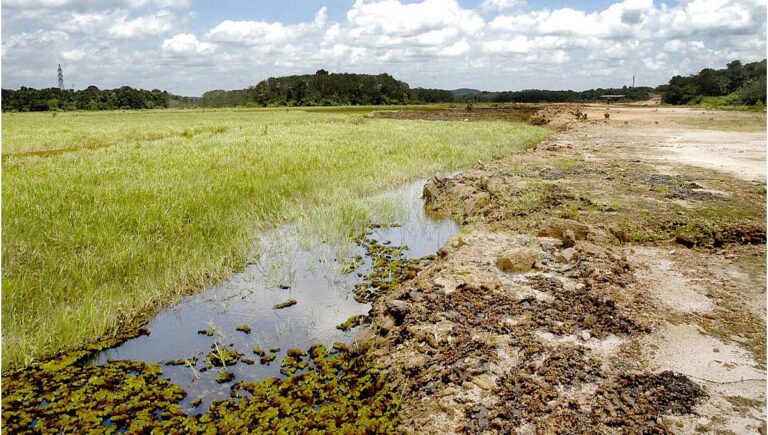 ആറൻമുള മെഗാ ഇലക്ട്രോണിക്സ് ക്ലസ്റ്റർ പദ്ധതിയിൽ നിന്ന് സർക്കാർ പിൻമാറി