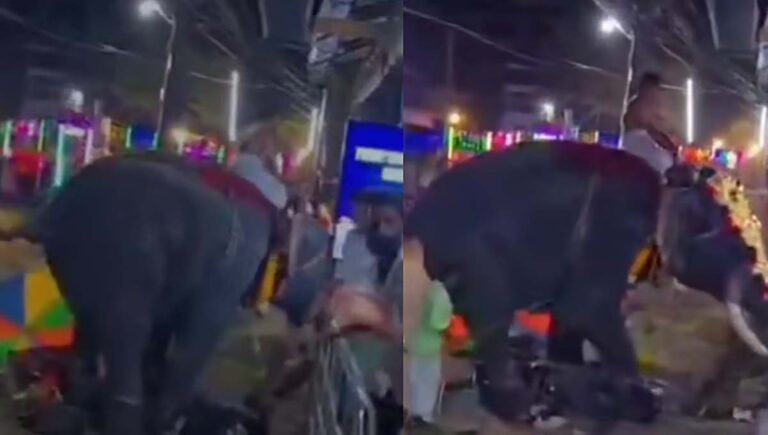 പാലക്കാട് മണപ്പുള്ളിക്കാവ് വേല എഴുന്നള്ളിപ്പിനിടെ ആന ഇടഞ്ഞോടി; വാഹനങ്ങള്‍ നശിപ്പിച്ചു