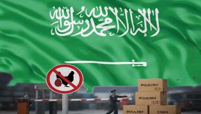 ഇന്ത്യയുൾപ്പെടെ 40 രാജ്യങ്ങളിൽ നിന്നുള്ള കോഴിയിറച്ചി, മുട്ട ഇറക്കുമതി നിരോധിച്ച് സൗദി