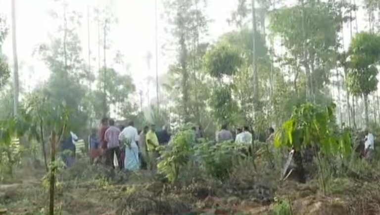 വയനാട് കര്‍ഷകനെ കൊലപ്പെടുത്തിയ കാട്ടാനയെ പിടികൂടാനുള്ള ദൗത്യം തുടങ്ങി