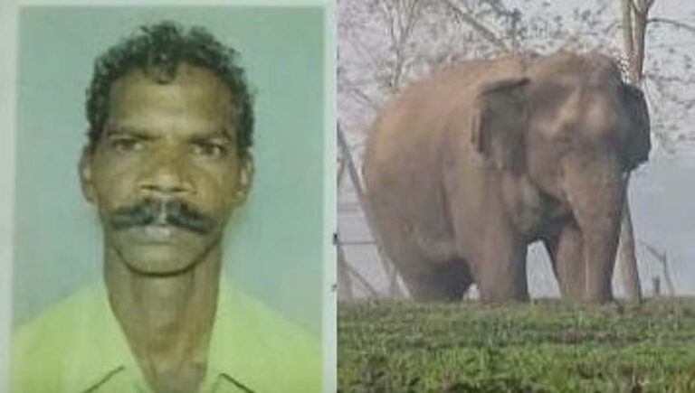 തൃശൂരിൽ കാട്ടാനയുടെ ആക്രമണത്തില്‍ പരിക്കേറ്റ് ചികിത്സയിലായിരുന്ന ആദിവാസി മരിച്ചു